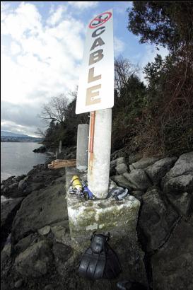 An underwater power cable stretches from here to Jesse Island