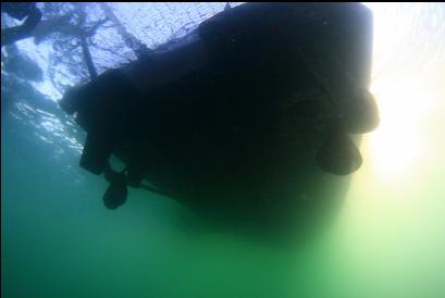 under dive boat