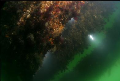 underside of docks