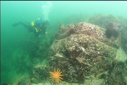 shallows in front of the entry-point