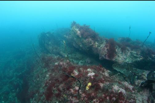 rocks back in the shallows