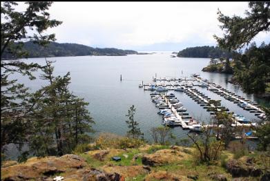 view of Becher Bay from road