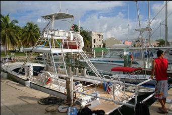 DIVE BOAT IN MARINA