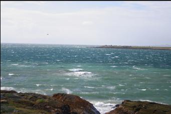 LOOKING ACROSS ROSS BAY TO CLOVER POINT