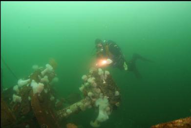 behind fallen roof of wheelhouse