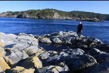 on top of South Bedford Island