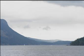 LOOKING TOWARDS ENTRANCE TO SANSUM NARROWS