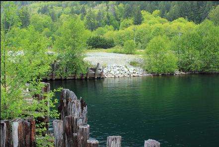 looking back at the entry-point from the dock