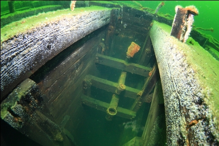 piping between the beams