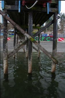 UNDER DOCK