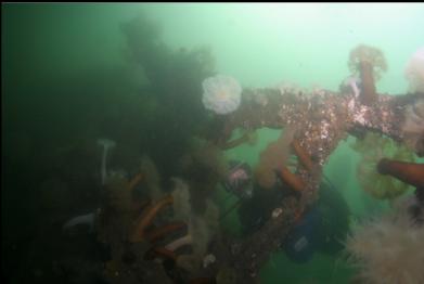 looking through holes in side of hull