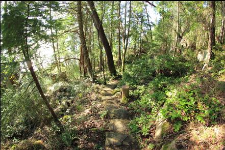 looking down the trail