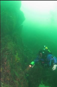 A BIT DEEPER