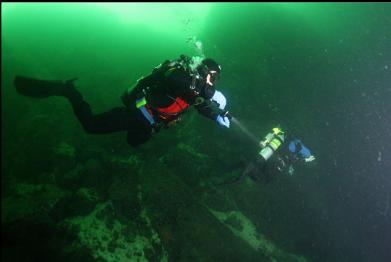 swimming towards base of wall