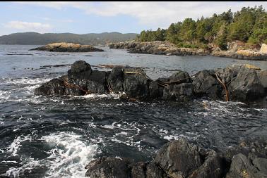 South-East Islets with Frazer Island in background