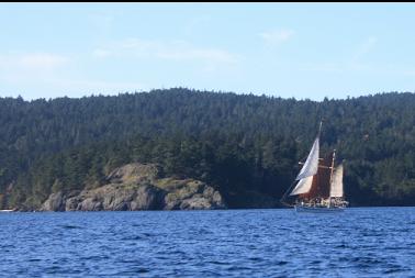 Sailboat in Becher Bay after dive