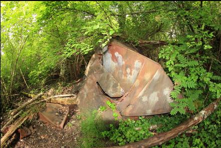 rusting metal in the forest