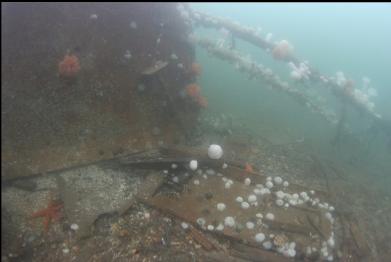 door on bottom in front of fallen superstructure and mast