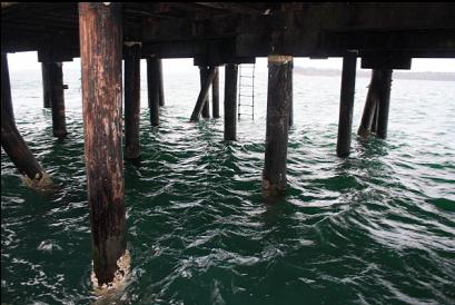 view under dock