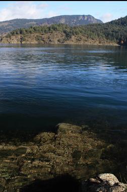 looking out from point