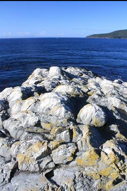 guano-covered rocks