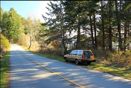 parking next to the road