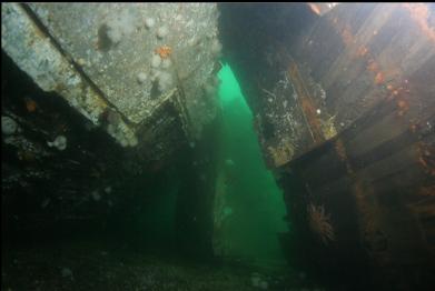 between hull on left and fallen superstructure on right
