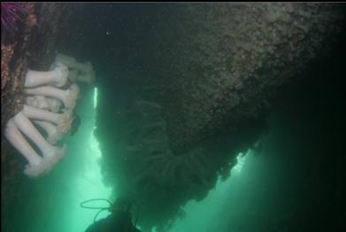 INSIDE CAVERN