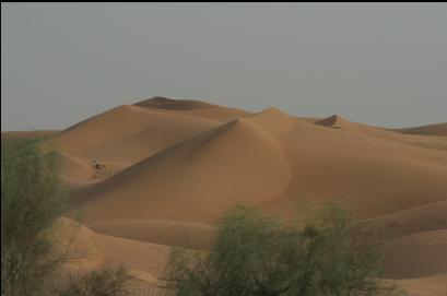 Desert on drive from Dubai