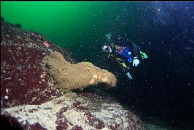 boot sponge on wall