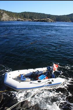 boat tied to island