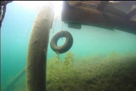 underwater tire swing