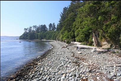 looking West on beach near bottom of stairs