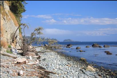 East end of beach