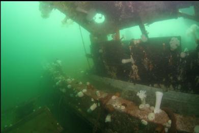 part of cabin still standing