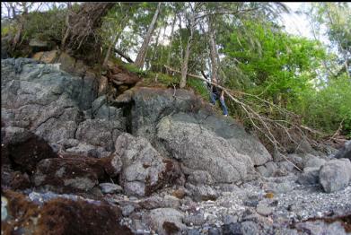rocks at bottom of trail