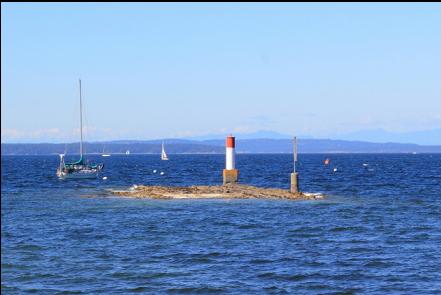 the orange buoy in the background on the right marks the plane