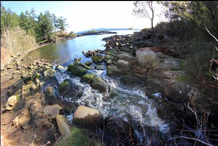 stream into the bay