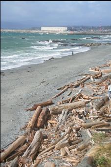 BEACH BY OGDEN POINT