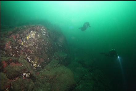 100 feet deep