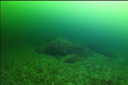 first view of the deeper reefs