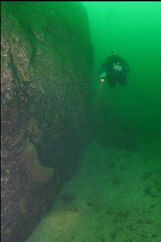 BOOT SPONGE AT BASE OF WALL