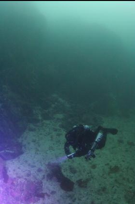 swiming to wall
