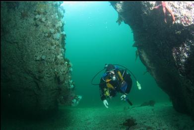 swimming into cavern