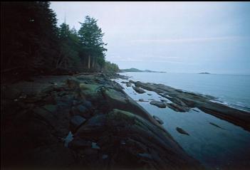 RUSSELL BEACH AT DAWN