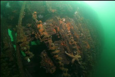side of hull