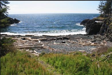 beach from end of trail