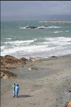 OGDEN POINT IN DISTANCE