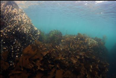 shallows near anchorage