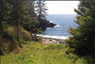 path down to beach